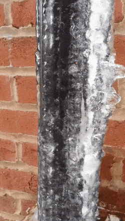 GIFs-7