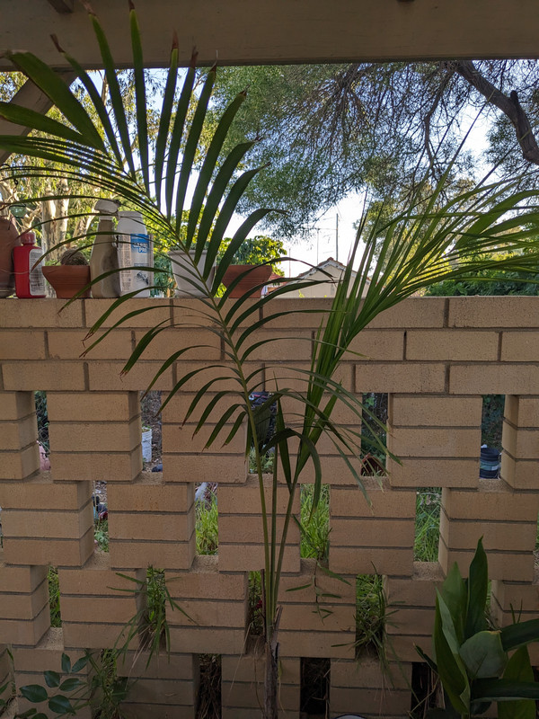 PXL_20241231_102302768