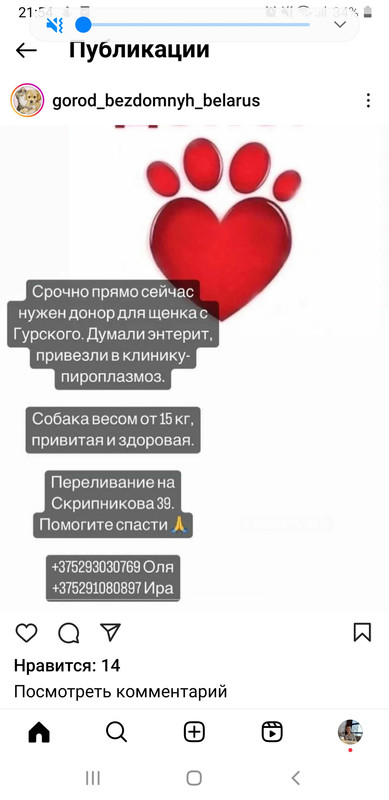 Screenshot_20240224-215418_Instagram