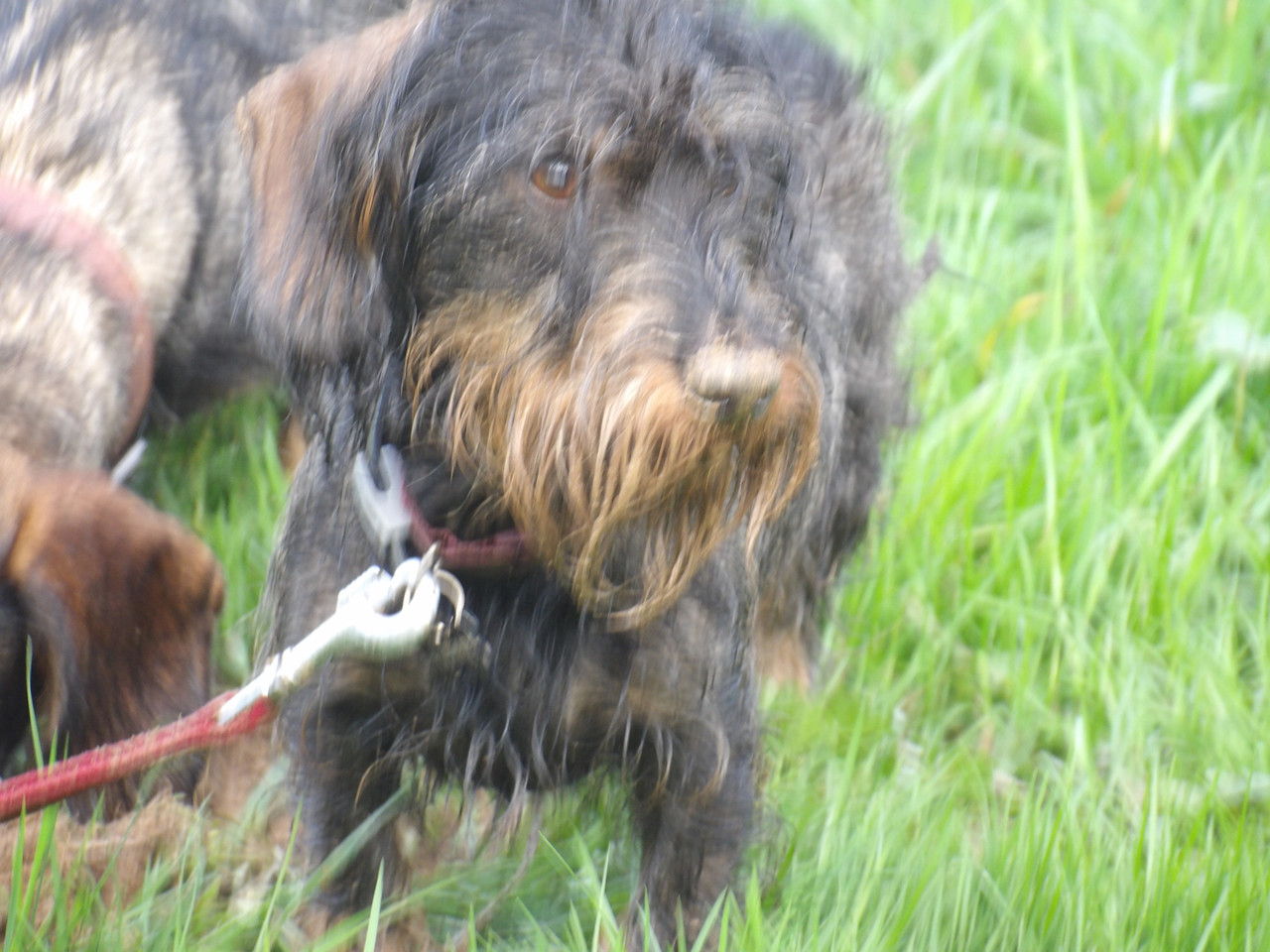 [Image: 125-0411.jpg]