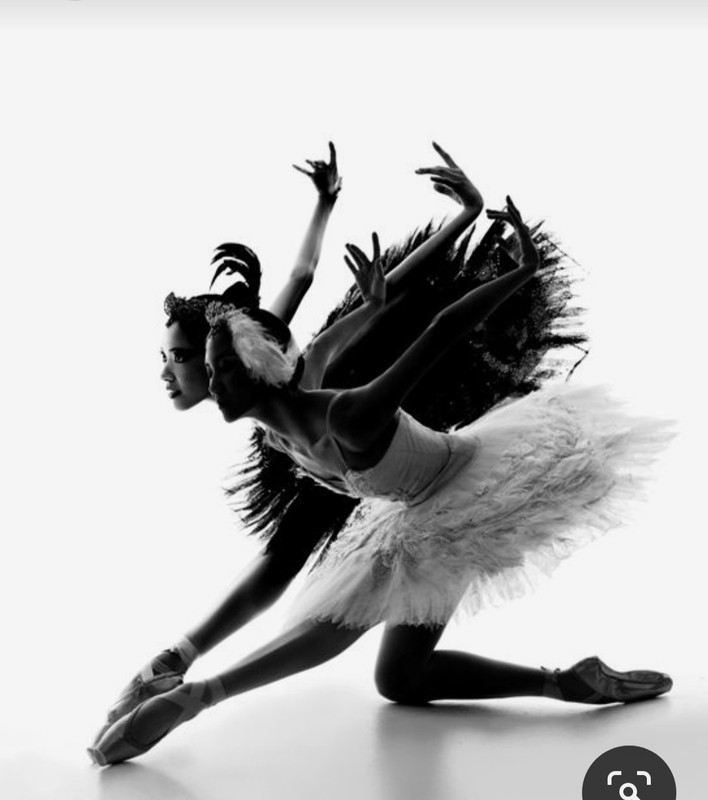 Screenshot_20230730_181059_Pinterest