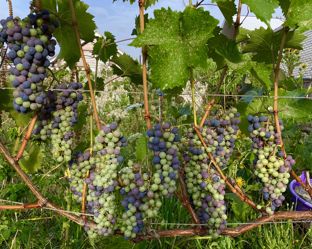 307E582B-ECD7-49C4-B758-B2D253250C89