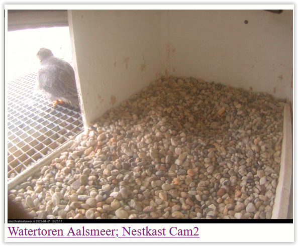 Screen Shot 01-01-25 at 10.20 AM 001