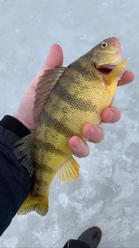 EF44EEF2-EEFF-44F3-900A-A0CA7538DAB6