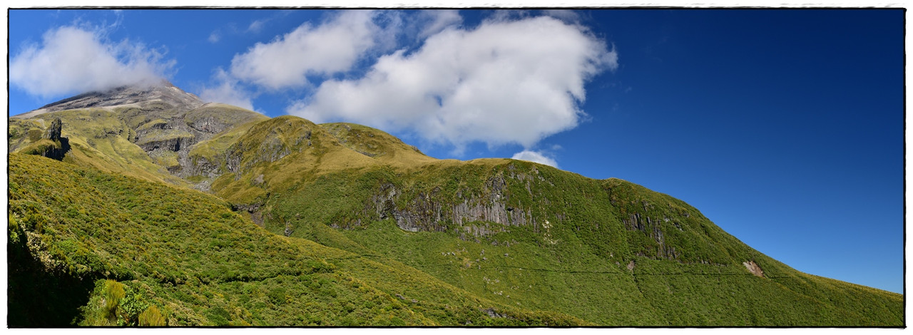 Escapadas y rutas por la Nueva Zelanda menos conocida - Blogs de Nueva Zelanda - Egmont / Taranaki NP: Pouakai Circuit (marzo 2021) (6)