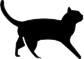 Gato