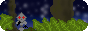 aster's asterisms' button