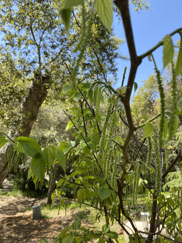 072F9C59-1356-4066-906B-871F28334100