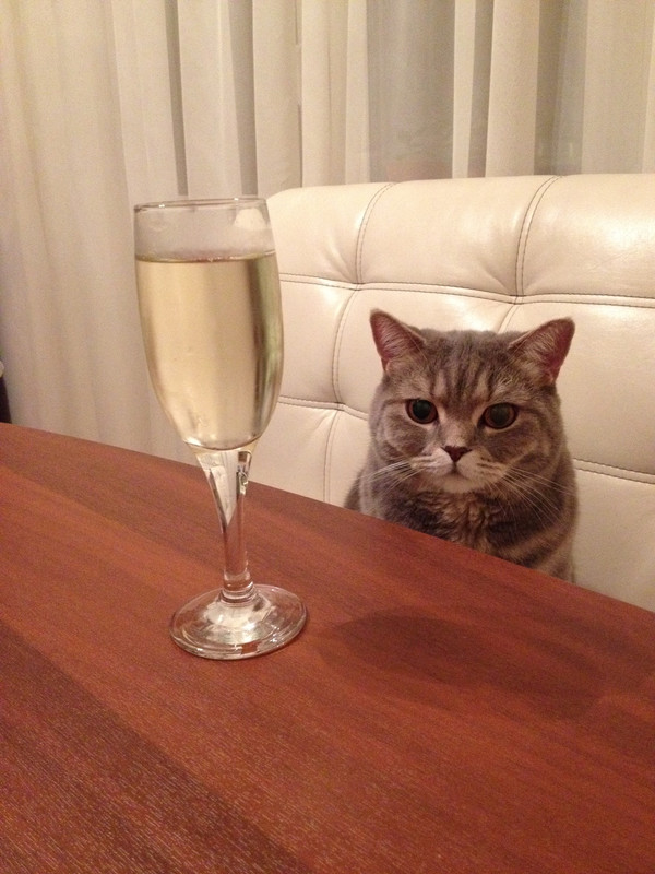 1FEC9F0F-7E2C-418C-9BB1-A2D61AFF041A