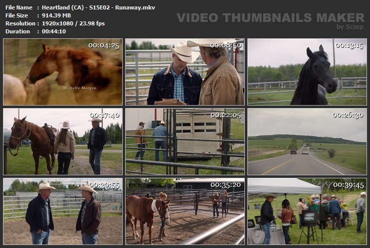 Heartland (CA) - S15E02 - Runaway.mkv
