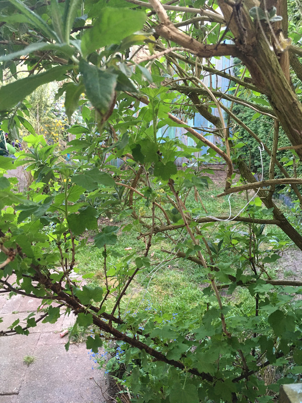 9833000B-60C1-4BE4-BE3F-7ECDEBEAD137