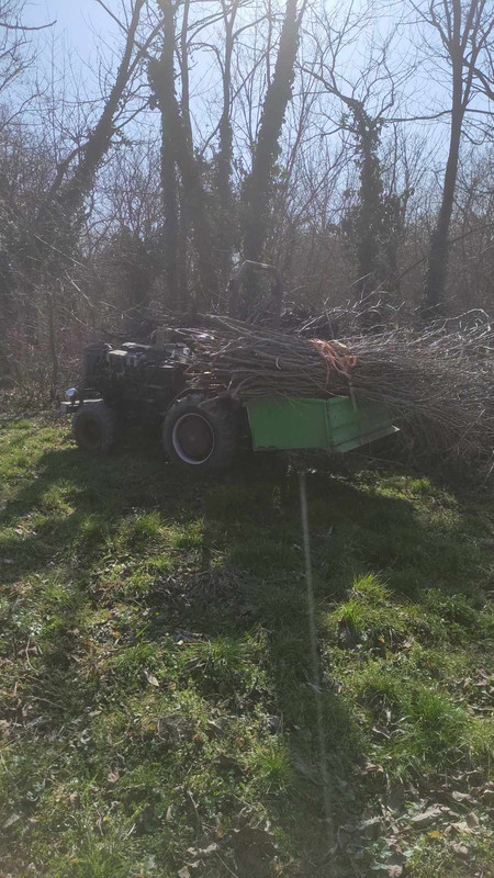 646404647 932794112565213 162767829816182197 n