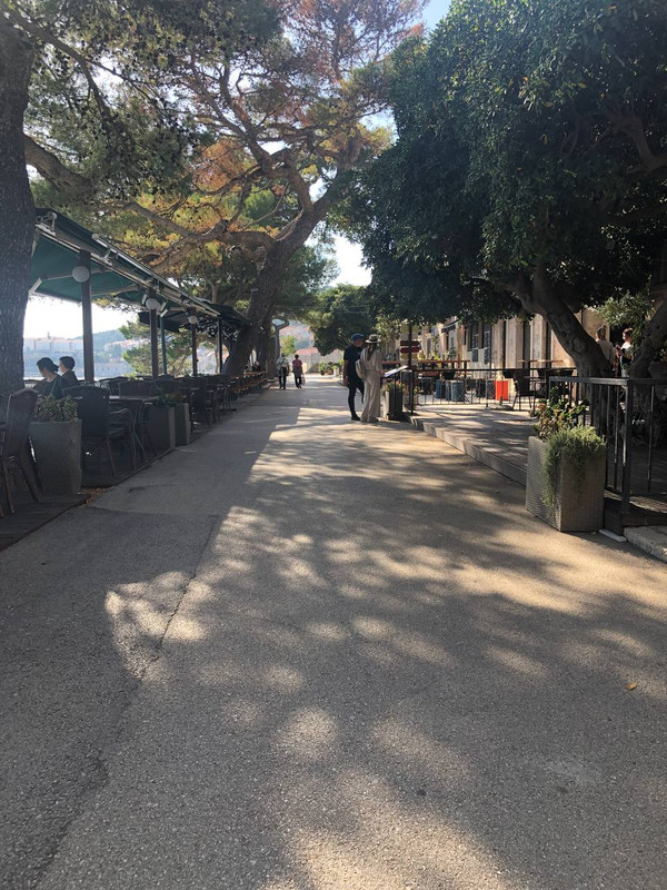 photo_2024-10-29_12-56-14