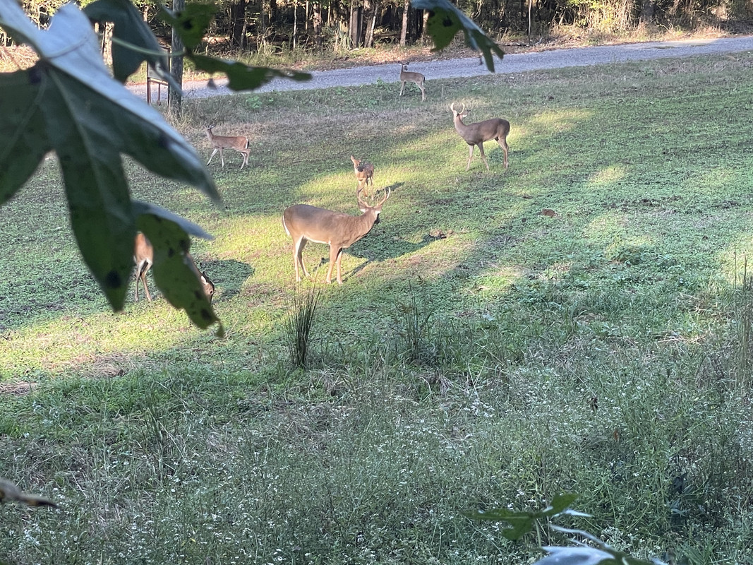 75246311-A5E5-47A2-ABCE-EBBA500EE477