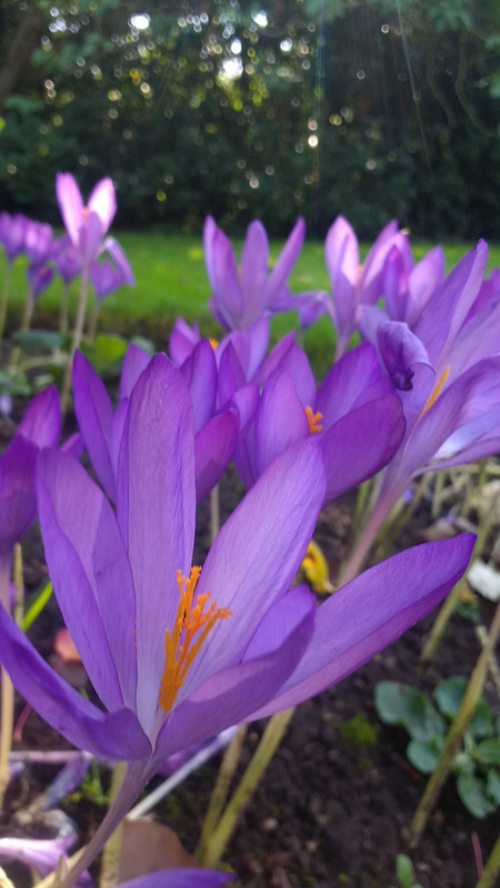 IMG_20180925_141358465