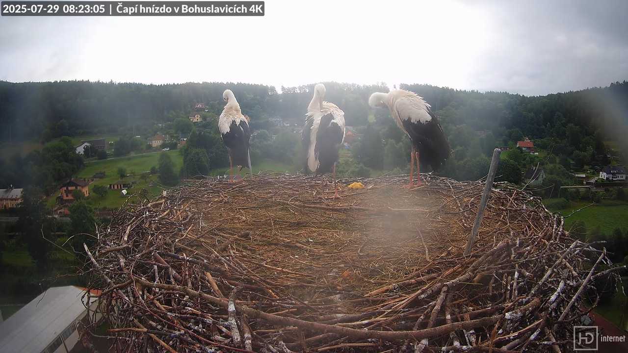 Živě z čapího komína firmy KARA v Bohuslavicích u Trutnova 11-22-6 screenshot