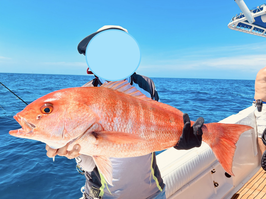 IMG_026251 (Conflicto de mayúsculas y minúsculas)