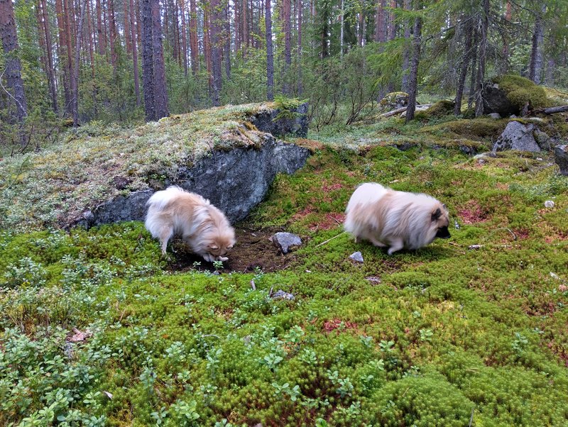 IMG_20250818_134314_HDR