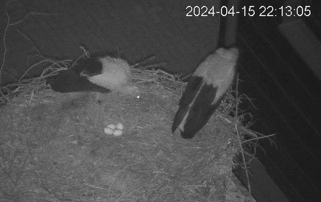 Przechwytywanie w trybie pełnoekranowym 16.04.2024 000621