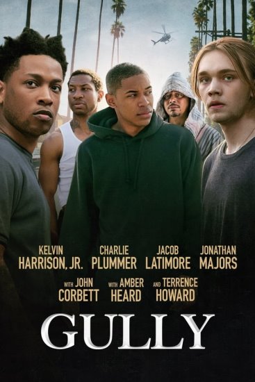 Gully (2019) PL.WEB-DL.XviD-GR4PE | Lektor PL