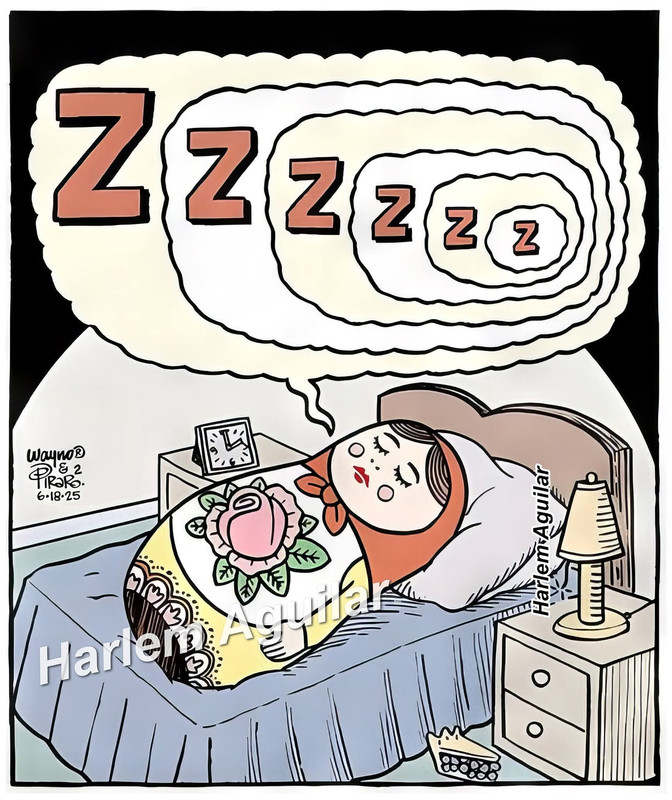 FB_IMG_1755439756742