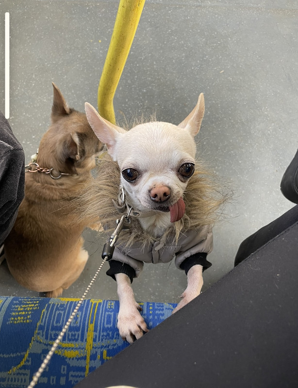 0776603E-73A9-49C4-BCD8-2111D935E173