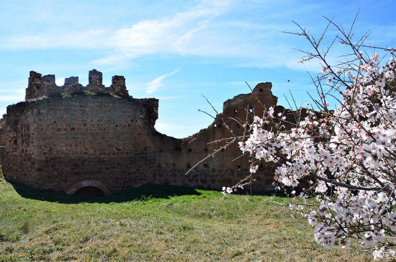 CASTILLO DE MONTALBAN-8-3-2015-TOLEDO - Pueblos y lugares abandonados/deshabitados-2011 AL 2024 (12)