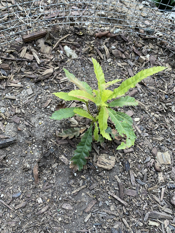 3C8AEA66-0BA0-4791-9A74-50A97322DB72