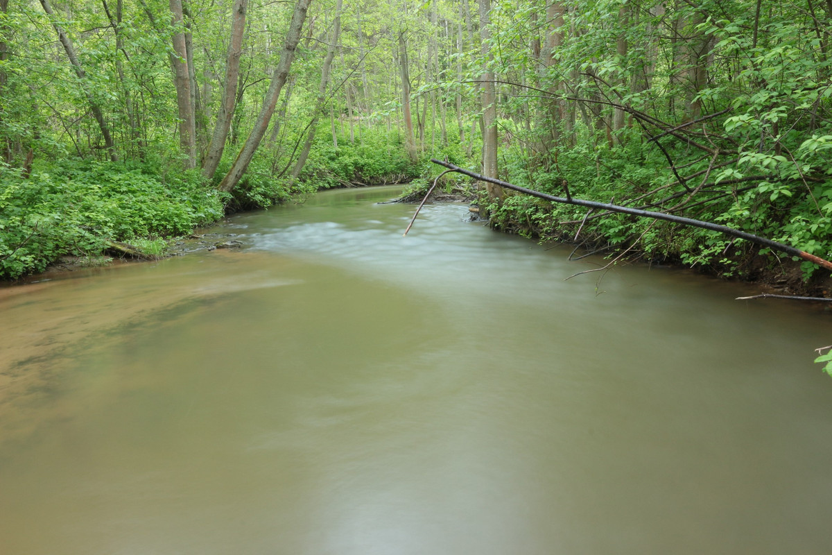 IMG_5579 (2592 x 1728)