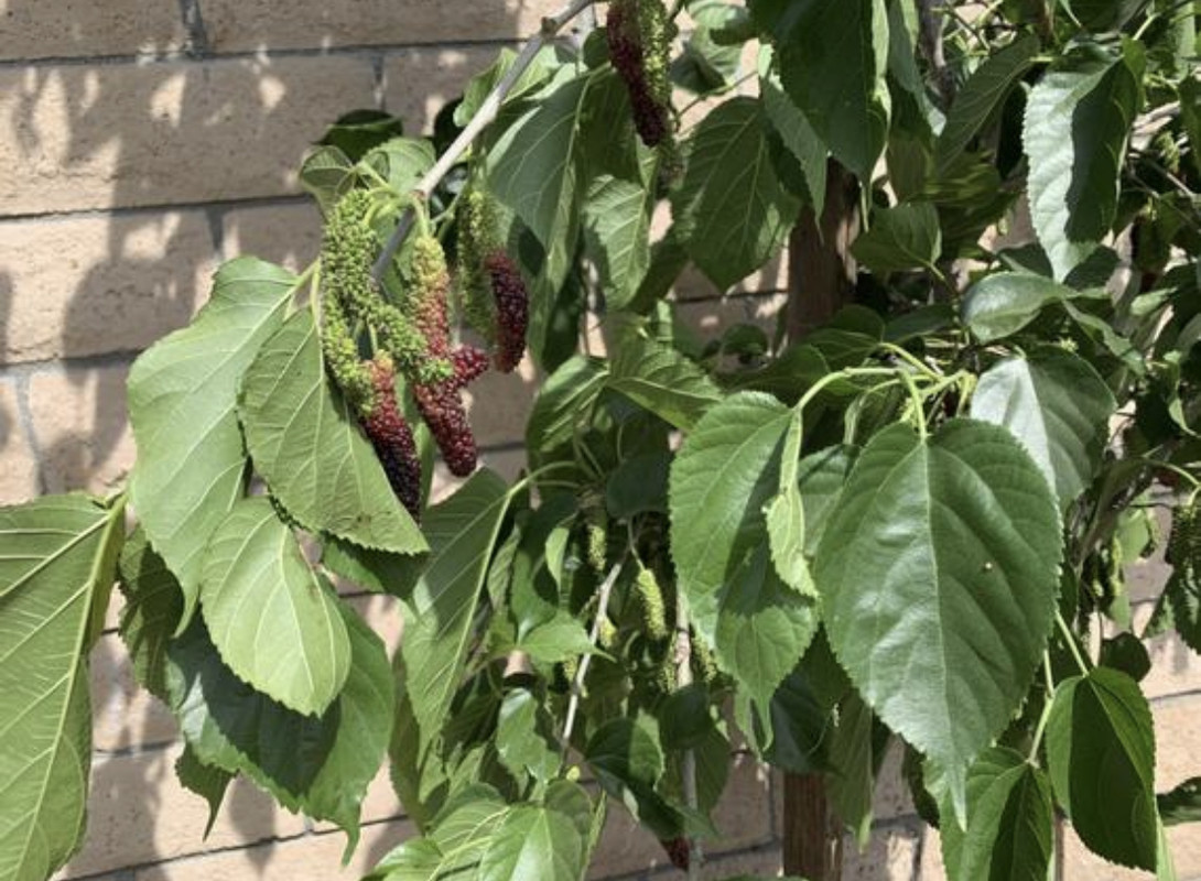 F835030F-C351-45DB-8874-53ED83DF1F46