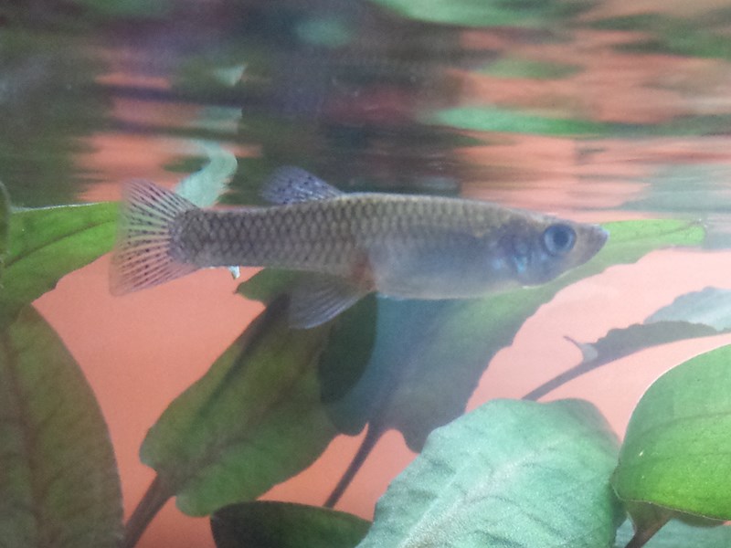 20130917_152502 (Copia)