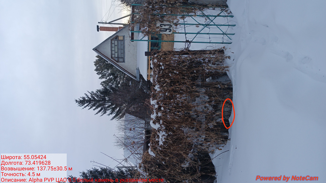 IMG 20260209 093154
