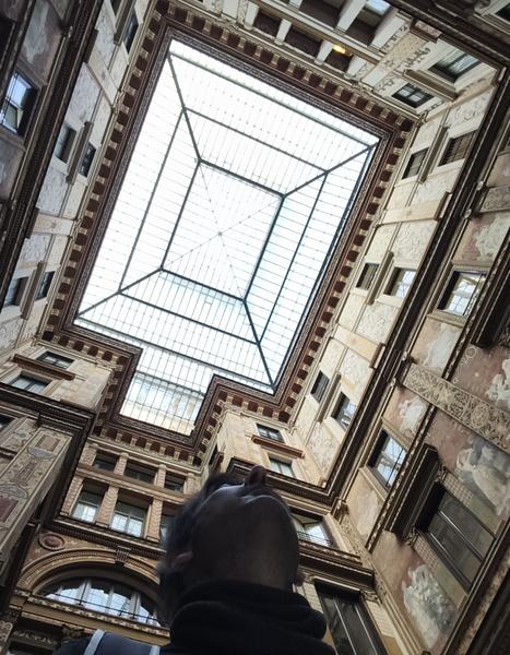 Roma: Villa Farnesina, Bernini&Barberini, Detroit Museum - Roma y Nápoles: Bernini, Giorgione y mucho más. (327)