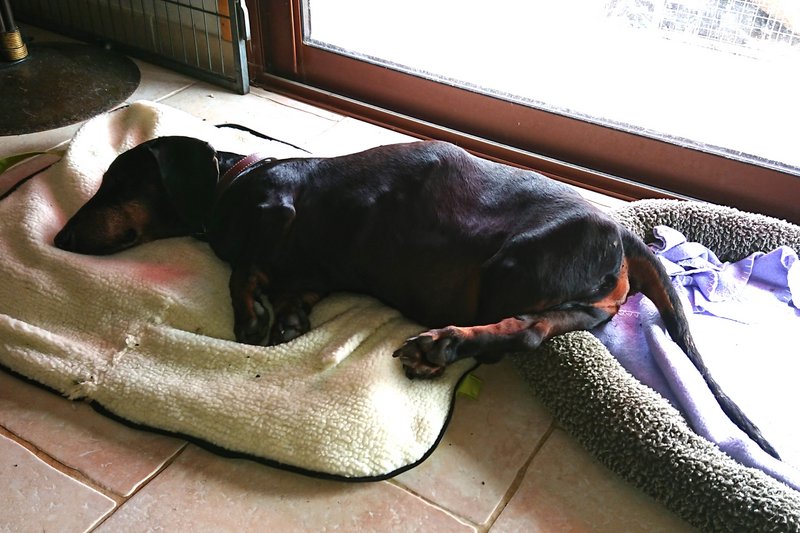 [Image: Monsieur-3.jpg]