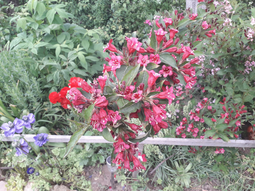 20190505_130948