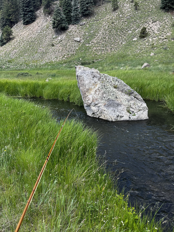 FFF0E202-B057-4987-8365-584057C540A6