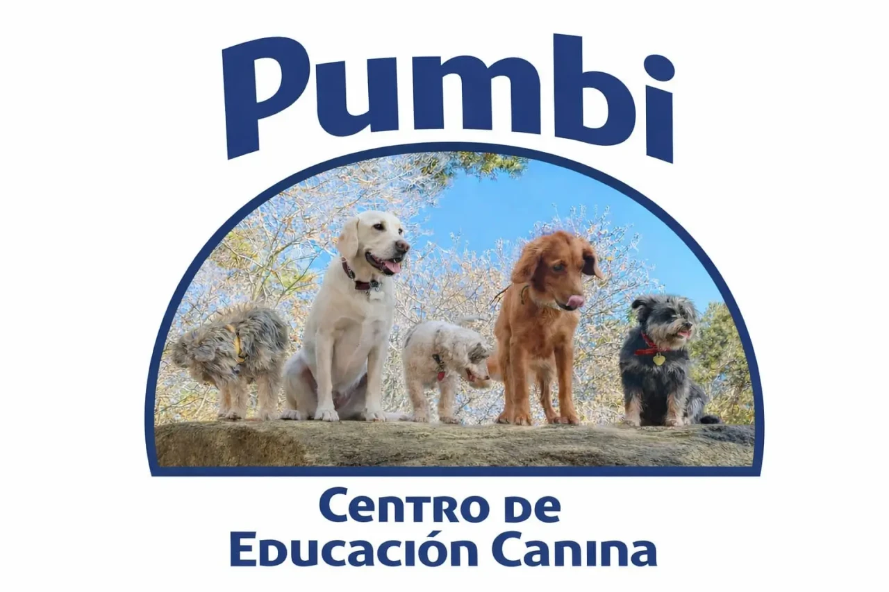 Pumbi