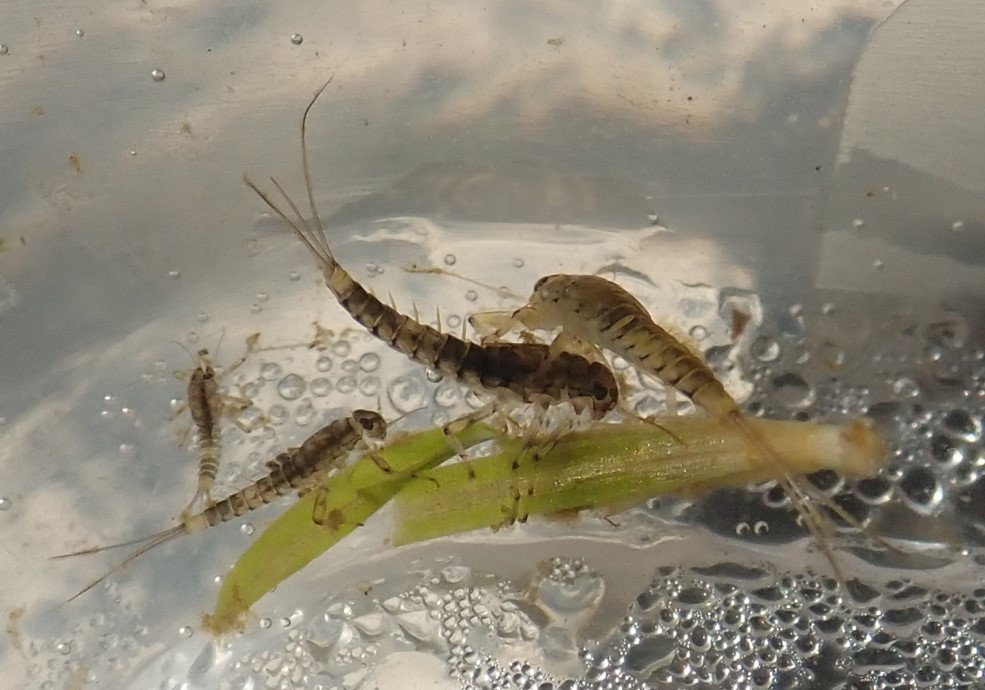 Screenshot 2021-11-30 093953