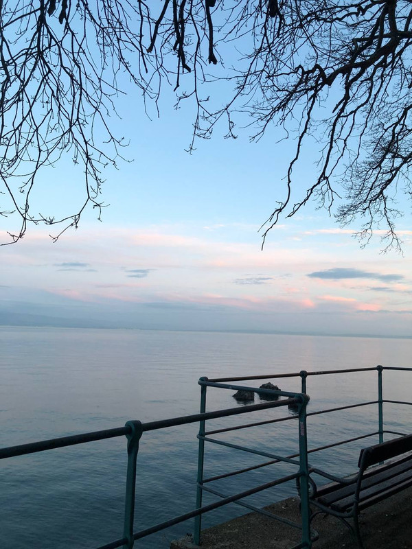 photo_2025-01-29_18-35-38