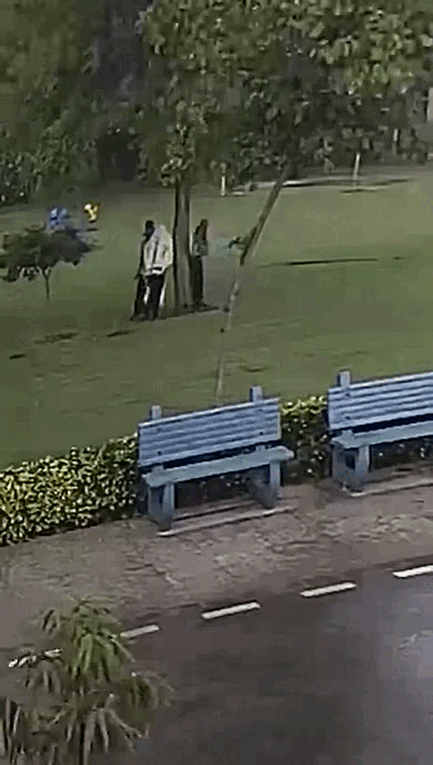 1641680198439.gif