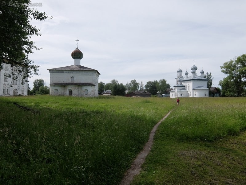 DSCF8529