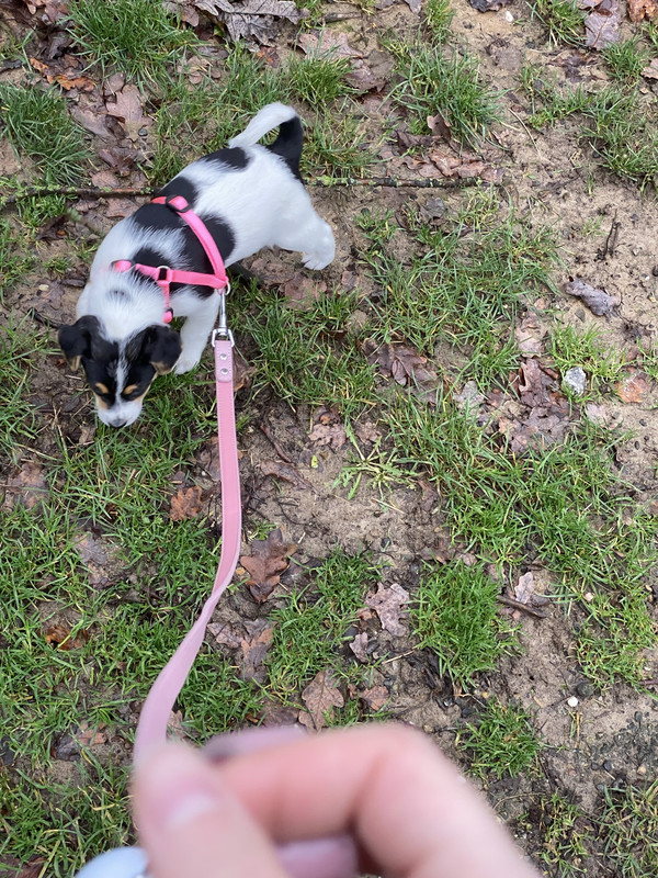 04D6258B-EBDD-46DD-A1EE-C65F93907F21