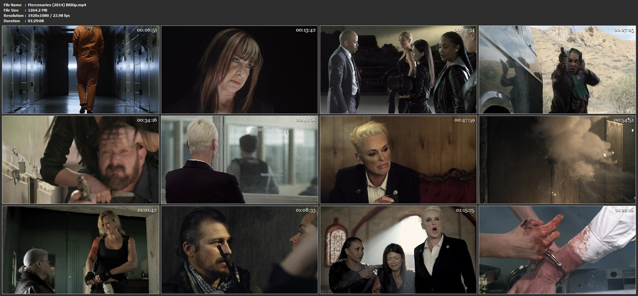 Mercenaries (2014) BRRip mp4