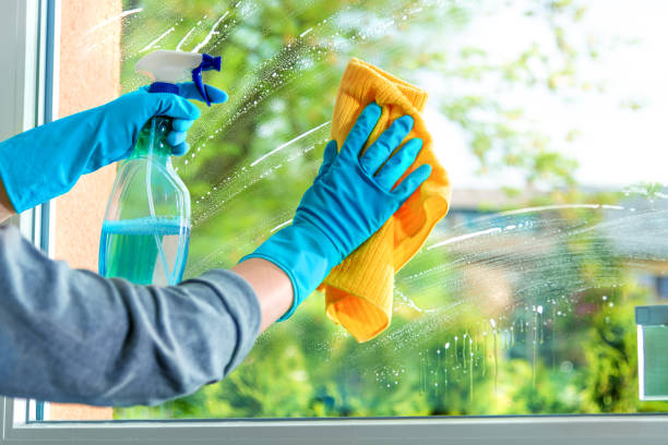Window Washing