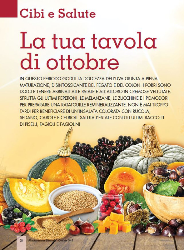 Alim Nat Ott 2016 (1)