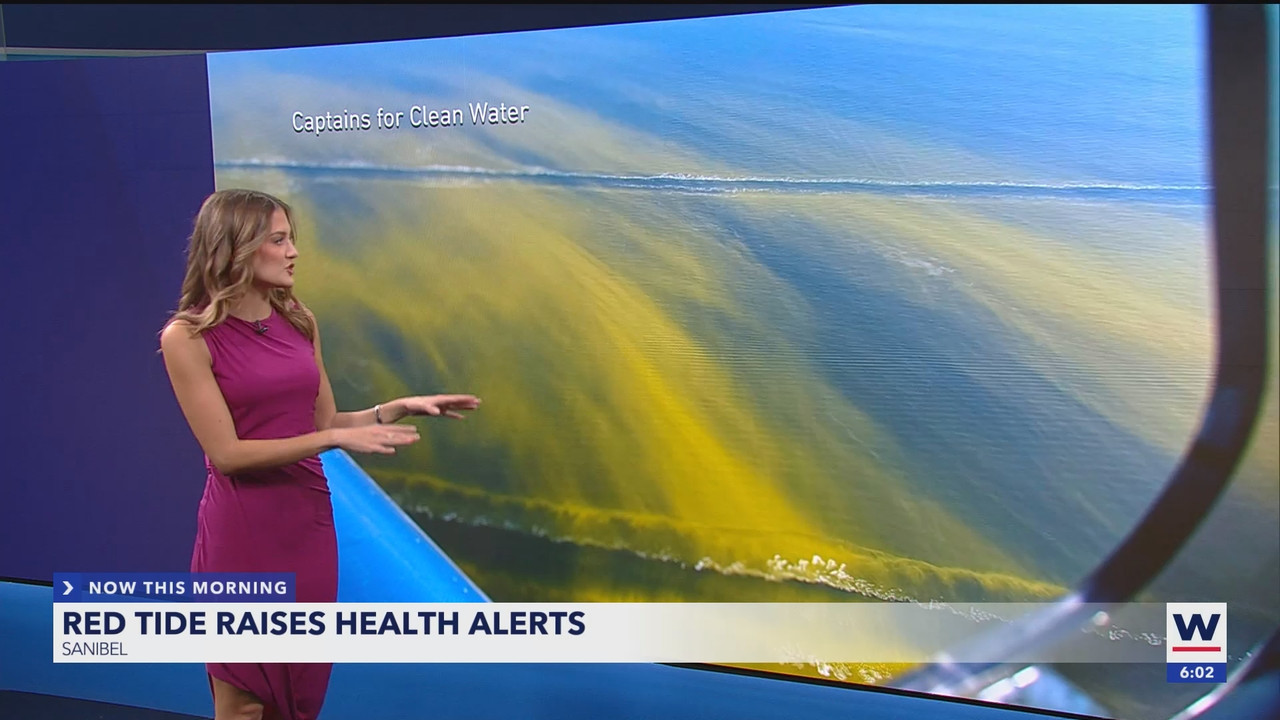 WINK NEWS at 600am Saturday_20250208_11001200.ts_snapshot_00.02.55.858