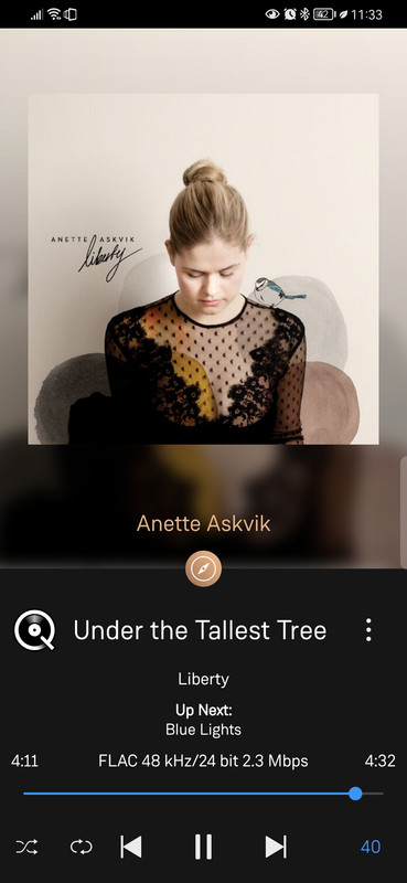 Screenshot_20240422_233317_uk.co.linn.Linn