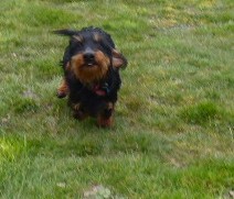 [Image: P1060116.jpg]