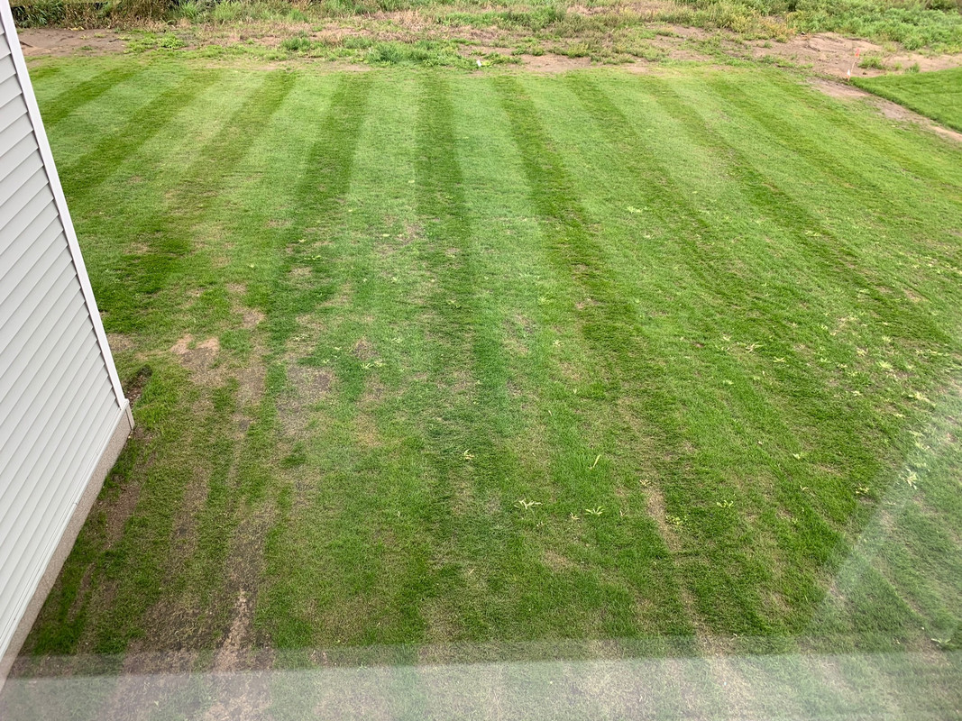 65985A5A-80F5-4615-8DFB-39564151024F