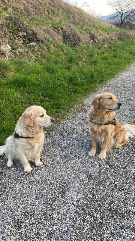 F8B93B64-A19A-4379-A3D1-F3DC0048A60E